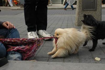 Oct4a_04_474.JPG