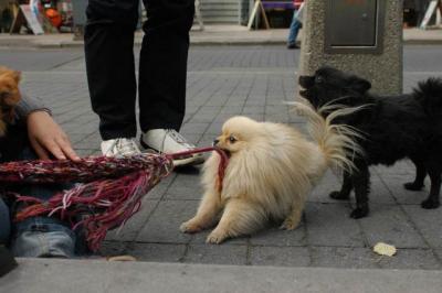 Oct4a_04_475.JPG