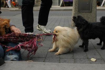 Oct4a_04_476.JPG
