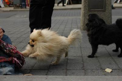 Oct4a_04_478.JPG