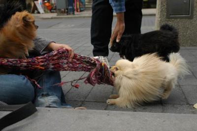 Oct4a_04_481.JPG