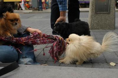 Oct4a_04_482.JPG
