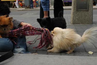Oct4a_04_483.JPG