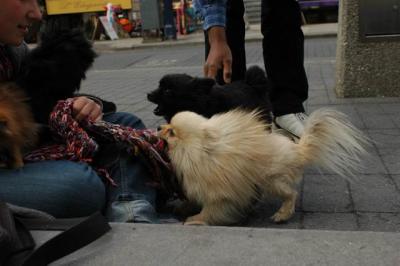 Oct4a_04_486.JPG