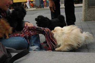 Oct4a_04_487.JPG