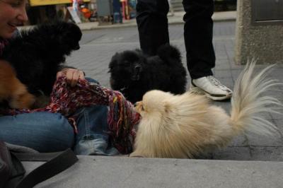 Oct4a_04_488.JPG