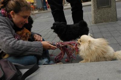 Oct4a_04_494.JPG