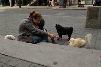 Oct4a_04_510.JPG