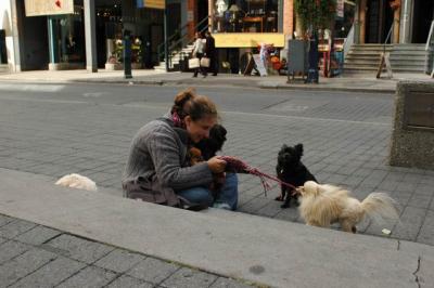 Oct4a_04_532.JPG