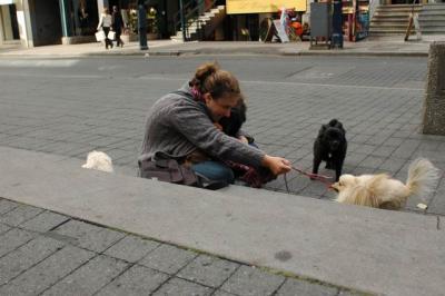 Oct4a_04_542.JPG