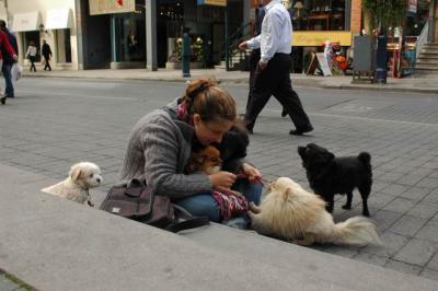 Oct4a_04_559.JPG