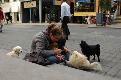Oct4a_04_560.JPG