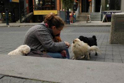 Oct4a_04_583.JPG