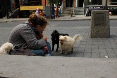Oct4a_04_585.JPG