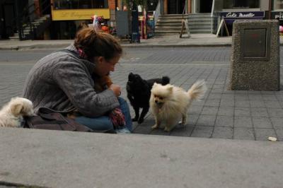 Oct4a_04_586.JPG