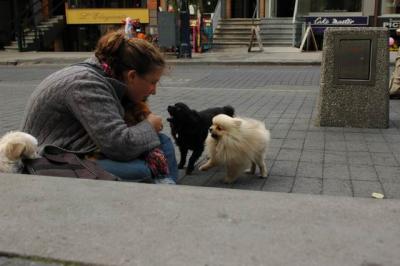 Oct4a_04_587.JPG