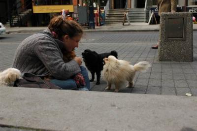 Oct4a_04_589.JPG