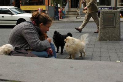 Oct4a_04_590.JPG