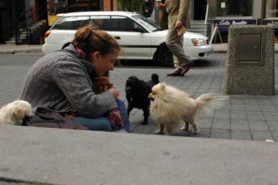 Oct4a_04_591.JPG