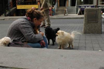 Oct4a_04_593.JPG