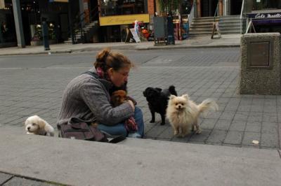 Oct4a_04_607.JPG
