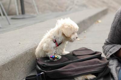 Oct4a_04_611.JPG