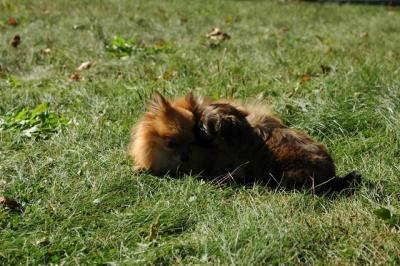 Oct5a_04_431.JPG
