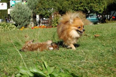 Oct5a_04_554.JPG