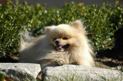 Oct5a_04_603.JPG
