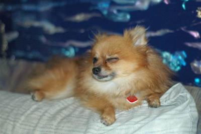 Oct6_04_079.JPG