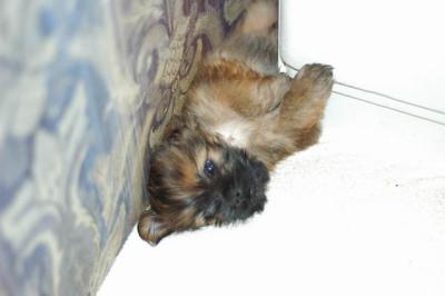 Oct6_04_118.JPG