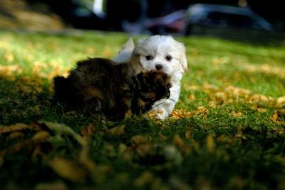 Oct6_04_139.JPG
