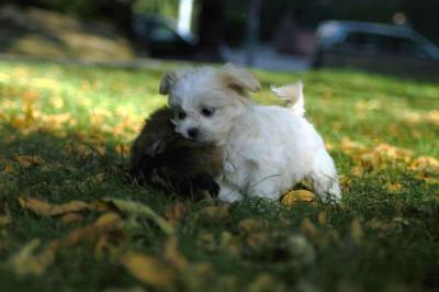 Oct6_04_141.JPG