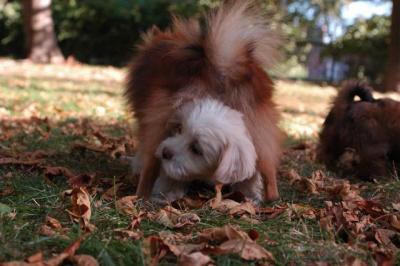 Oct6_04_157.JPG