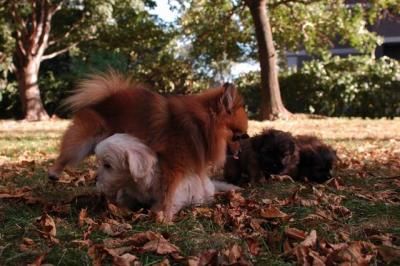 Oct6_04_163.JPG