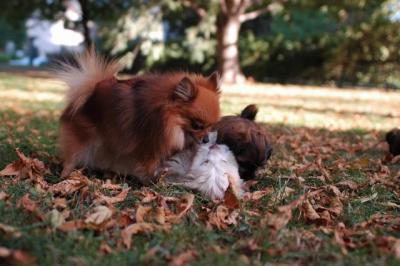 Oct6_04_206.JPG