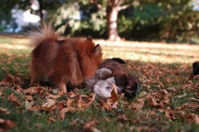Oct6_04_212.JPG