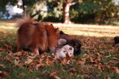 Oct6_04_213.JPG