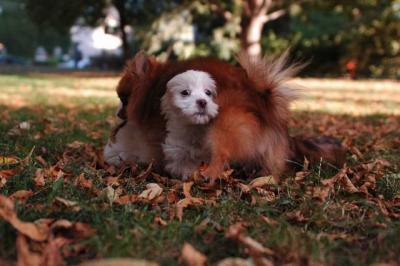 Oct6_04_233.JPG