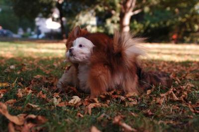 Oct6_04_234.JPG