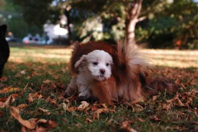 Oct6_04_236.JPG