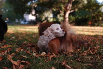 Oct6_04_237.JPG