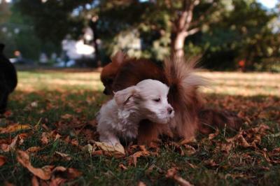 Oct6_04_238.JPG