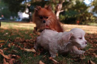 Oct6_04_239.JPG