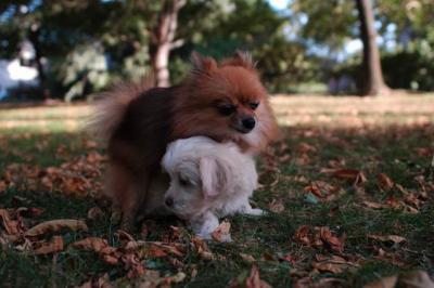 Oct6_04_244.JPG