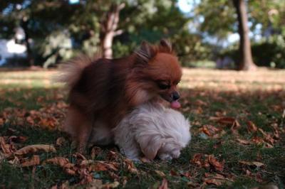 Oct6_04_245.JPG