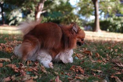 Oct6_04_248.JPG
