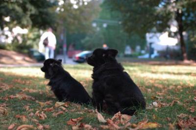 Oct6_04_250.JPG