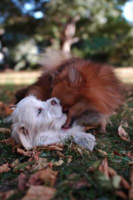 Oct6_04_254.JPG