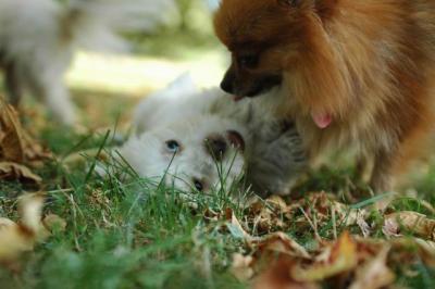 Oct6_04_261.JPG
